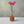Burnt orange concrete test tube bud vase with pink flowers