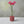 Red round concrete test tube bud vase with pink flowers