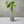Gray round concrete test tube propagation vase with green leaves