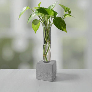 Gray square concrete test tube propagation vase with green leaves